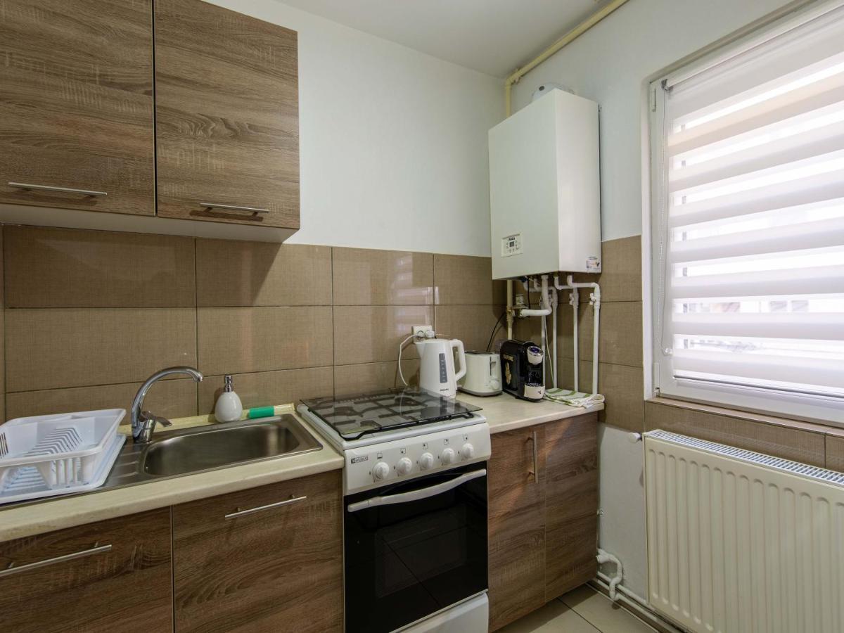 Ionita Apartament Sibiu Extérieur photo